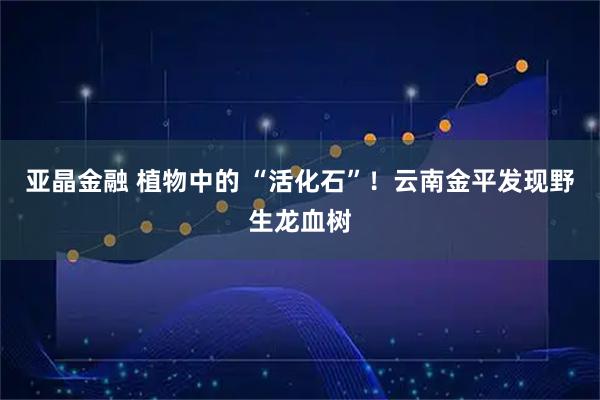亚晶金融 植物中的 “活化石”！云南金平发现野生龙血树