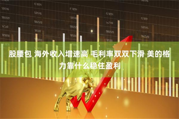 股腰包 海外收入增速高 毛利率双双下滑 美的格力靠什么稳住盈利