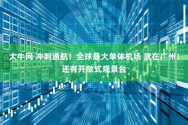 大牛网 冲刺通航！全球最大单体机场 就在广州！还有开放式观景台