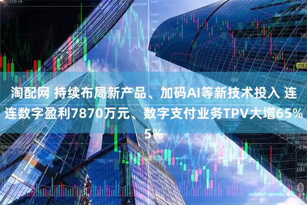 淘配网 持续布局新产品、加码AI等新技术投入 连连数字盈利7870万元、数字支付业务TPV大增65%
