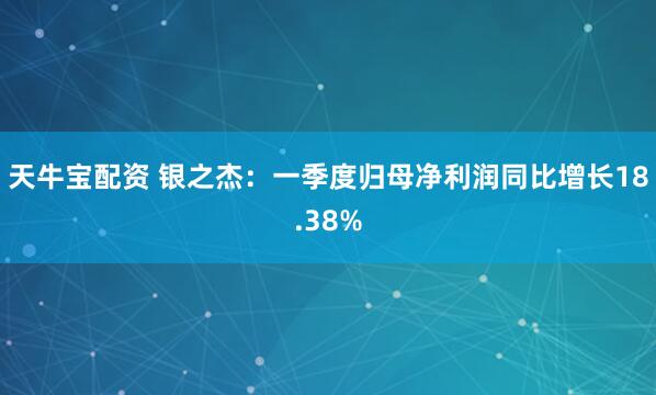 天牛宝配资 银之杰：一季度归母净利润同比增长18.38%