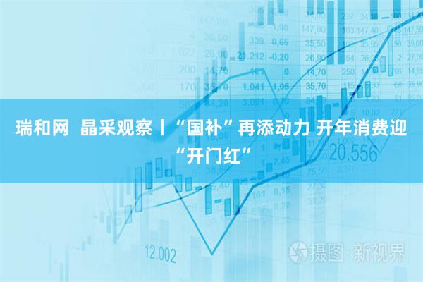 瑞和网  晶采观察丨“国补”再添动力 开年消费迎“开门红”