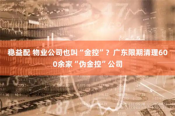 稳益配 物业公司也叫“金控”？广东限期清理600余家“伪金控”公司